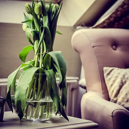 Hotel Botaniek 3*